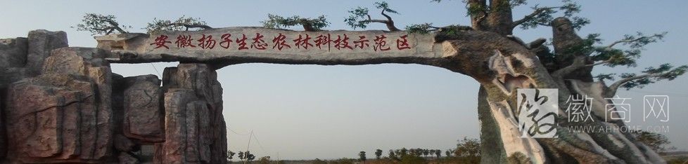 安徽扬子生态园林建筑有限公司 安徽扬子生态园示范区