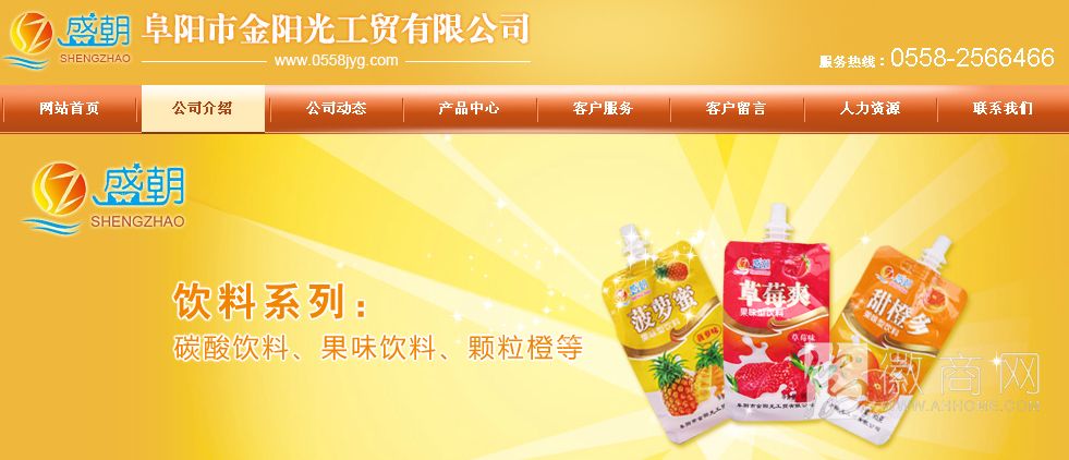 阜阳市金阳光工贸有限公司