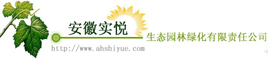 安徽省实悦生态园林绿化有限责任公司 实悦园林