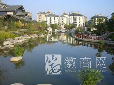 安徽沃东市政园林工程有限公司 工程案例