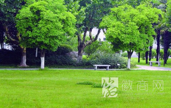 安徽景欣园林工程有限公司 工程案例