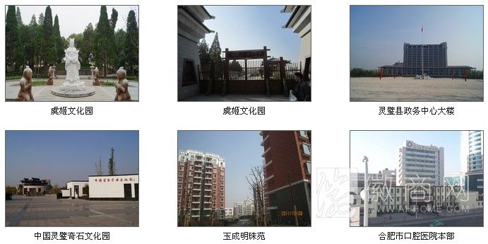 安徽省鹏徽物业管理有限公司 服务项目