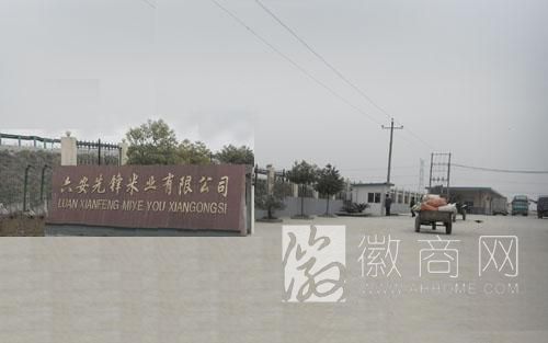 六安先锋米业有限公司