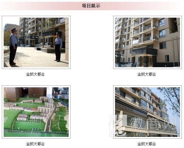 安徽兴湃物业管理公司 项目展示