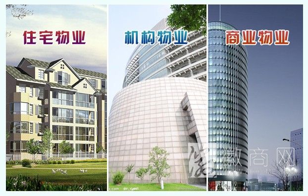 安徽华宇物业发展有限公司 项目展示