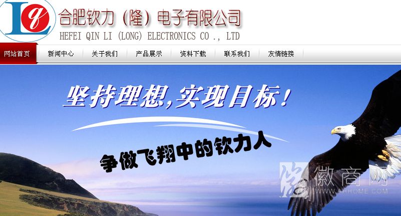 合肥钦力电子有限公司