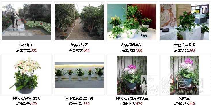合肥景绣花卉园艺有限公司 案例展示