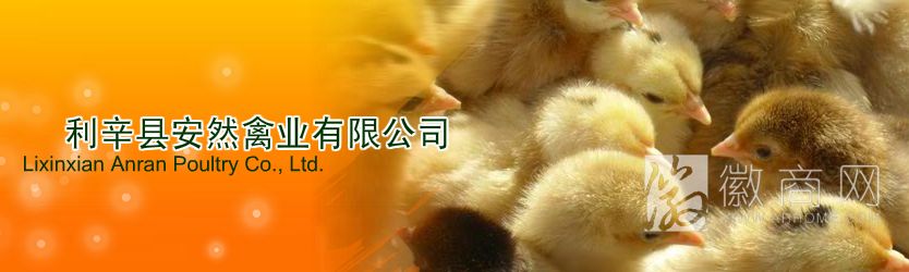 利辛县安然禽业有限公司