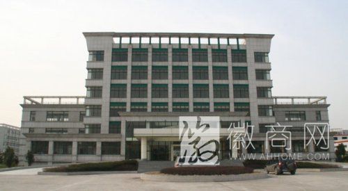 安徽中新高科产业有限公司