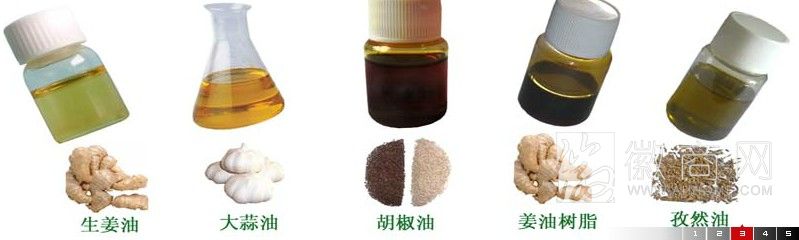 安徽中草香料有限公司 产品展示