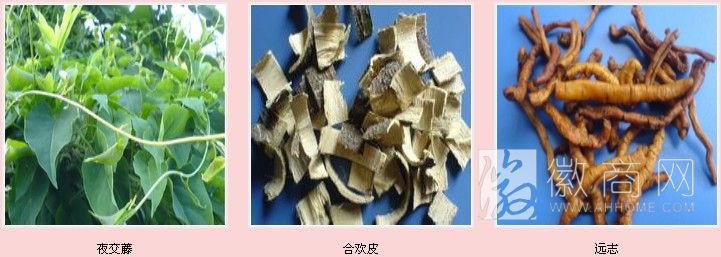 安徽天马中药材饮片科技有限公司 产品展示
