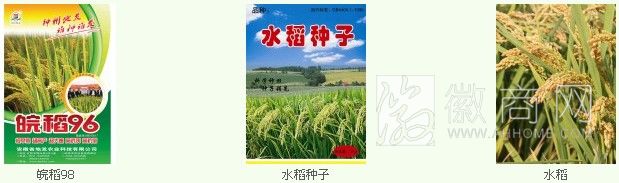 安徽地发农业科技有限公司 产品展示