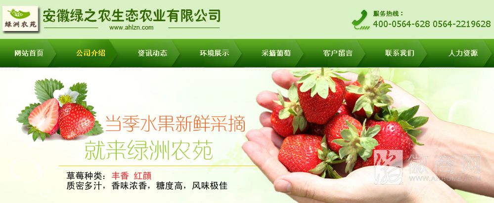 六安市裕安区绿之农生态种养殖专业合作社