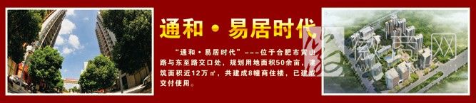 安徽省通和房地产集团有限公司 项目展示