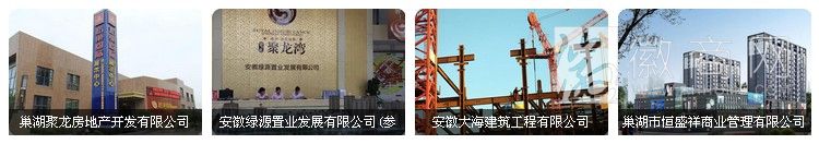 安徽大海地产有限公司 地产项目