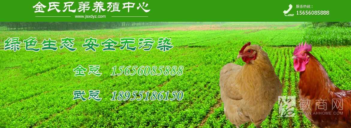金氏兄弟养殖中心