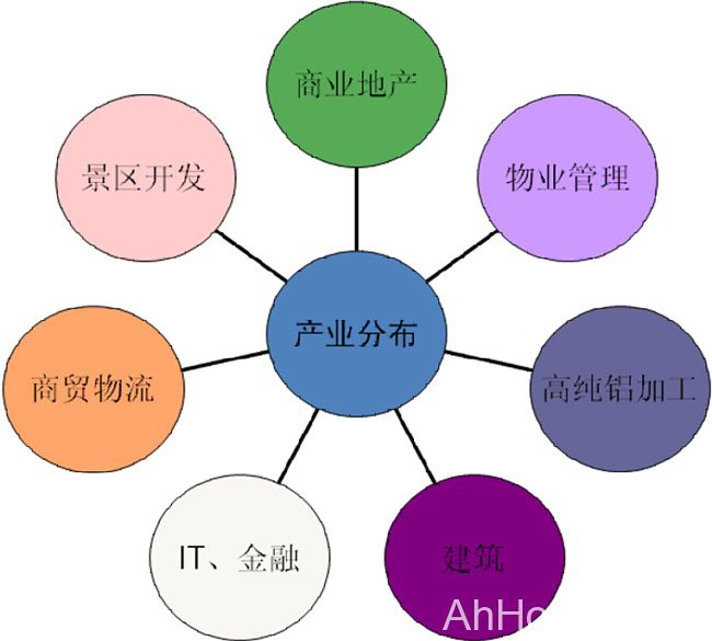 安徽新长江投资集团