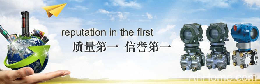 天长市徽宇仪表有限公司 安徽仪表企业