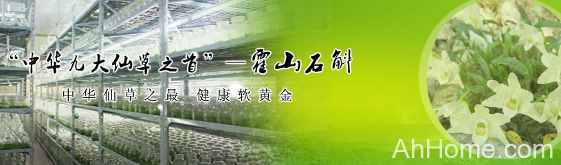 霍山县醉山石斛有限公司