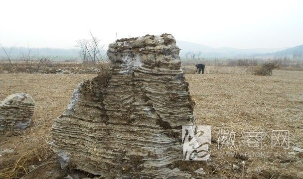 灵璧县飞见园林景观石销售中心 青色千层石