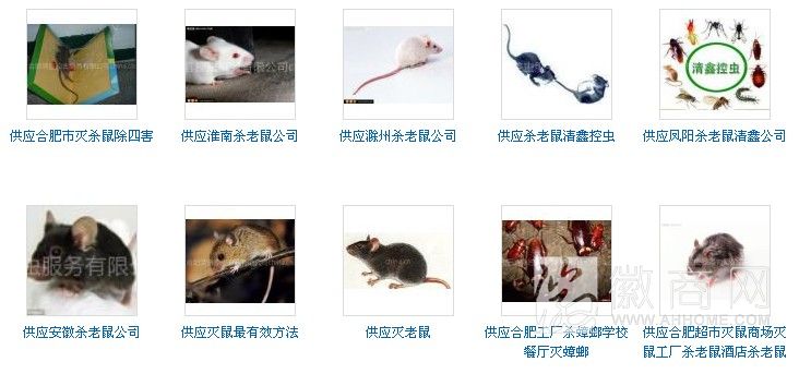 合肥清鑫控虫服务有限公司 合肥清鑫控虫服务有限公司提供的灭虫害服务