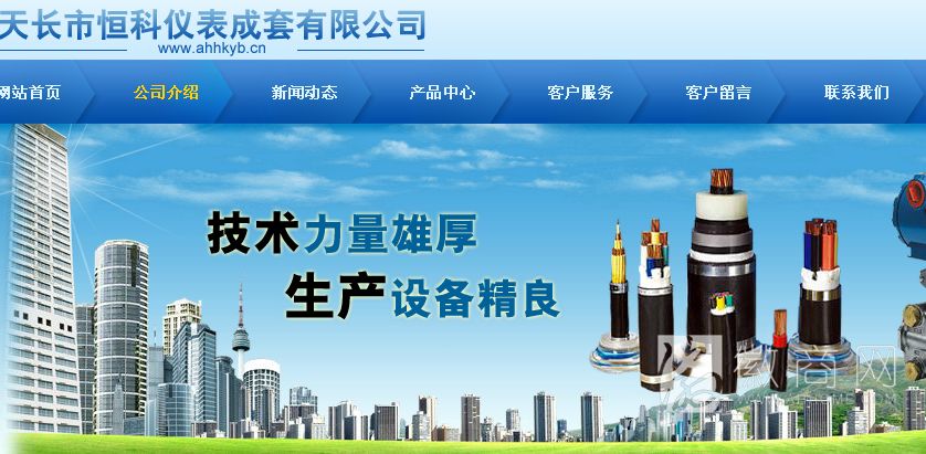 安徽华强电缆有限公司