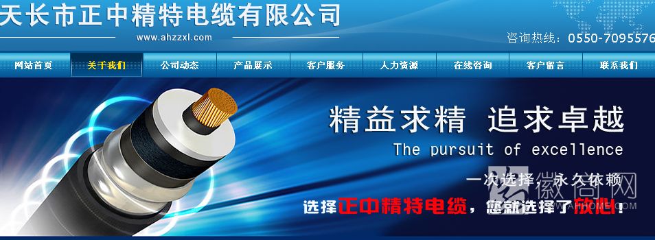 天长市正中精特电缆有限公司