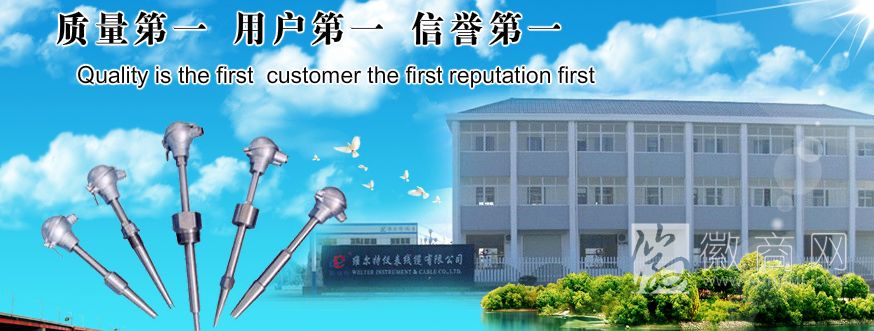 天长市维尔特仪表线缆有限公司