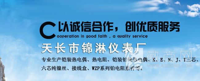 天长市锦淋仪表厂