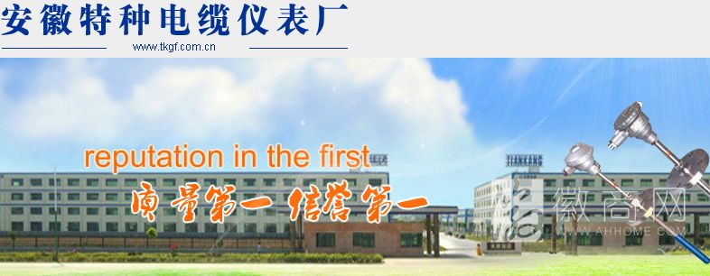 安徽特种电缆仪表厂