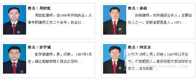 安徽天瑞律师事务所 合伙人律师