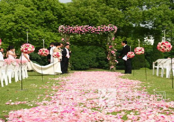 合肥乐韵婚庆公司