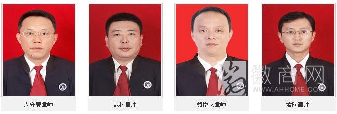安徽国伦律师事务所 律师风采