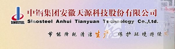 中钢集团安徽天源股份有限公司