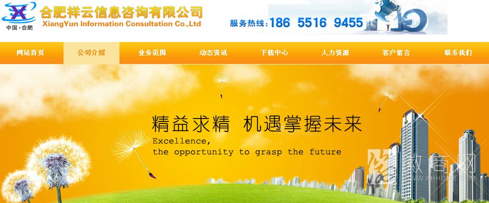 合肥祥云信息咨询有限公司