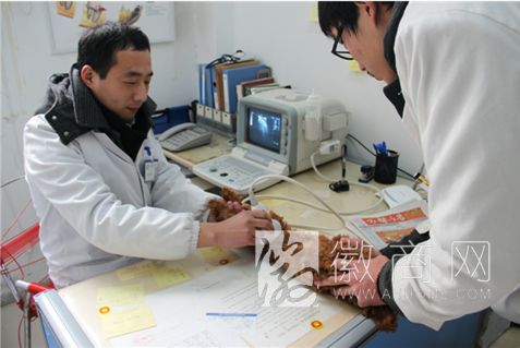 合肥苟苟宠物医院 B超诊断室