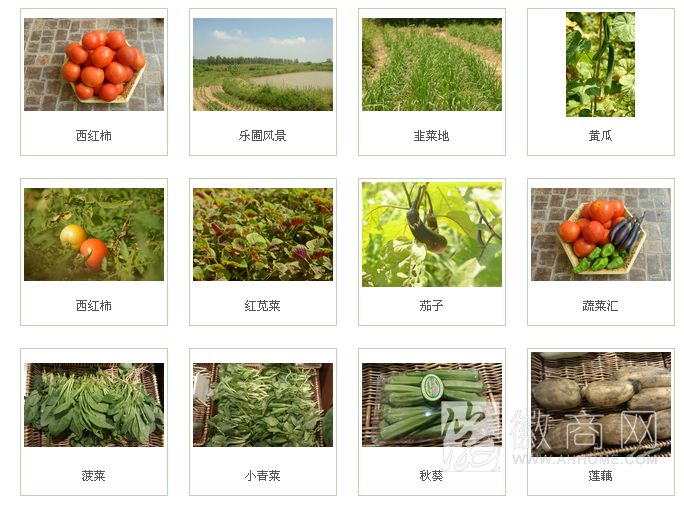 安徽半岛蓝莓生态发展有限公司产品