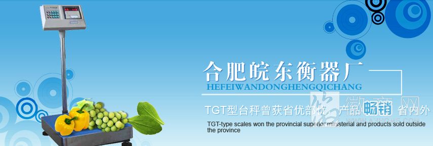 合肥皖东衡器厂