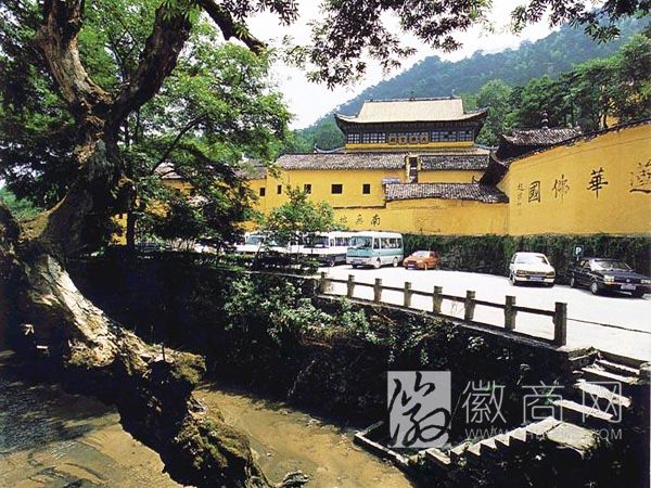 九华山大愿文化园景区 景区展示