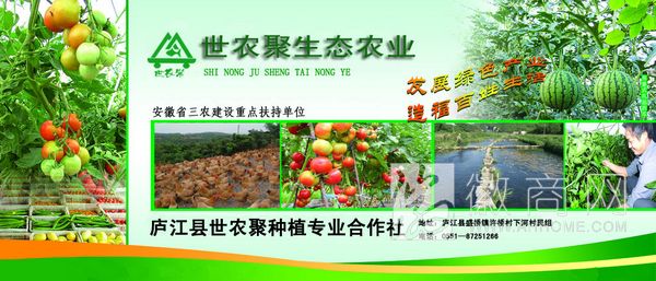 庐江县世农聚种植专业合作社
