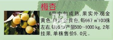 寿县八公山乡郝圩村沈鑫苗圃 产品展示