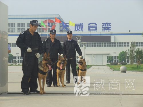 合肥金盾保安服务限公司 案例展示