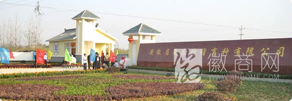 安泰农业集团