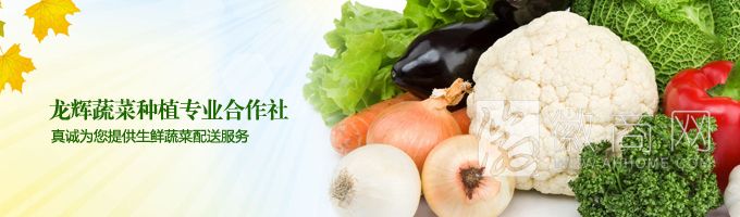 怀远县龙辉蔬菜种植专业合作社