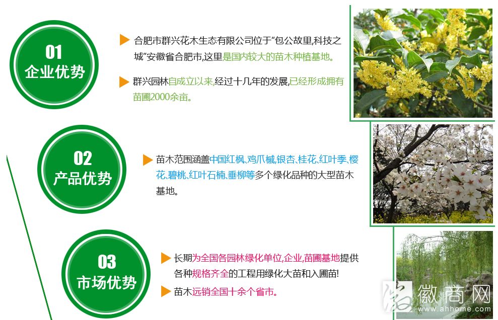合肥市群兴花木生态有限公司