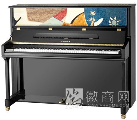 六安市金安区艺丽乐器行 乐器展示