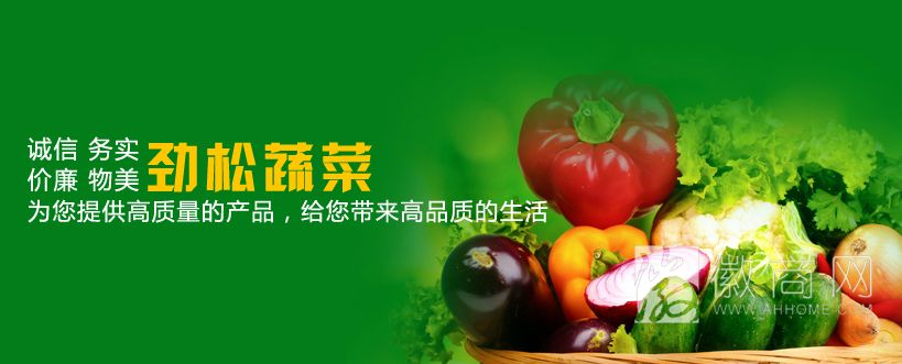 怀远县劲松蔬菜专业合作社