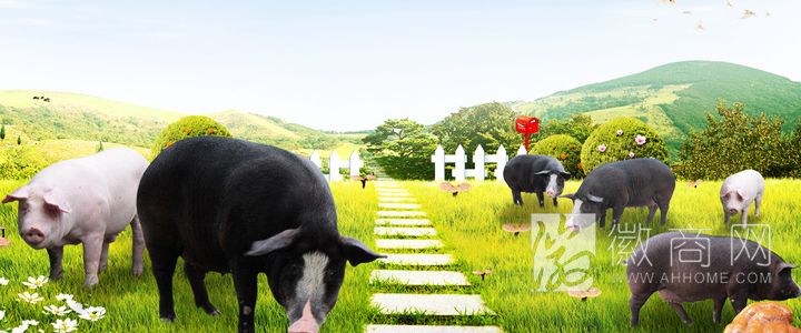 山东济南鑫太源饲料有限公司