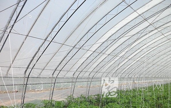 宿州市德润农双膜温室大棚研发中心 产品展示