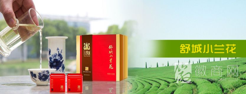 安徽省兰祥园苗木有限公司